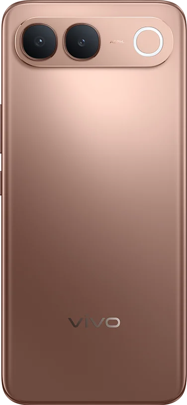vivo S2 in Regal Bronze